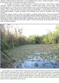 Imagine document Biodiversitatea cuprinsă în Delta Dunării