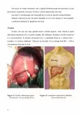 Imagine document Anatomia omului