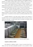 Imagine document Linia tehnologică pentru obținerea vinului spumant
