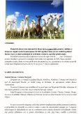 Imagine document Plan de afaceri - înființare fermă de capre pentru lapte