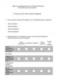 Imagine document Aplicarea marketing-ului intern în firmele din România - chestionar pentru consumatori