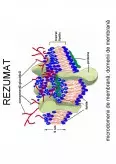 Imagine document Biologie și farmacologie celulară I