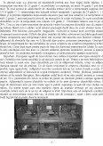 Imagine document Chinchilla - Generalitati, Crestere, Tratamente, Hrana, Sfaturi