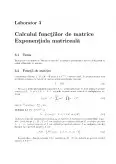 Imagine document Calculul funcțiilor de matrice exponențială matriceală