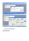 Imagine document Sisteme Informatice de Gestiune