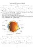 Imagine document Caracterizarea fizico-chimică a medicamentelor oculare