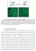 Imagine document Biologia moleculară a medicamentului