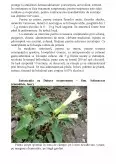 Imagine document Plante ce conțin alcaloizi cu nucleu piridinic și piperidinic