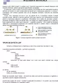 Imagine document Limbaje de Programare Utilizate în Inteligenta Artificială