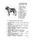 Imagine document Anatomia Carnasierelor de Companie