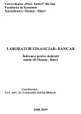 Imagine document Laborator Financiar-Bancar