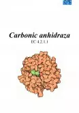Imagine document Enzimă - carbonic anhidraza