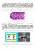 Imagine document Obiective și Aplicații ale Nanotehnologiei