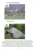 Imagine document Ecoturismul în România studiu de caz - Parcul Național Domogled Valea Cernei