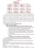 Imagine document Specificul organizării activității bancare