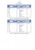 Imagine document Studierea Protocolului FTP