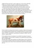 Imagine document Rasa de câini Saint Bernard