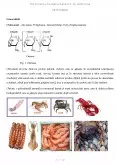 Imagine document Chitosanul - utilizarea lui ca biomaterial și implicații în medicină