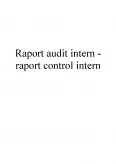 Imagine document Raportul dintre Auditul Intern și Controlul Intern