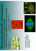 Imagine document Metode și Tehnici de Studiu Utilizate în Investigațiile Genetice Biomedicale