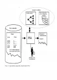Imagine document FSA - Sistem Expert pentru Analiza Financiar-Contabila