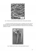 Imagine document Oxidiu de aluminiu - alumină