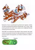 Imagine document Mutageneză și inginerie genetică