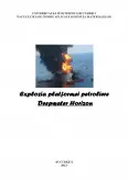 Imagine document Explozia Platformei Petroliere Deep Horizon