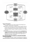 Imagine document Probleme de bază privind organizarea contabilității tranzacțiilor internaționale