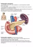 Imagine document Secreția Pancreatică Exocrină