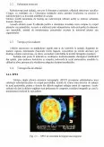 Imagine document Medicină nucleară - factorii care influențează radiosensibilitatea
