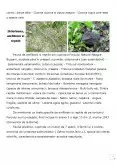 Imagine document Rezervația Naturală Neagra-Bucșani