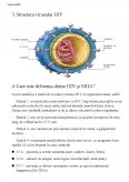 Imagine document Virusul SIDA