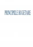 Imagine document Principiile Bugetare