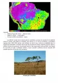 Imagine document Medii Intertropicale Brazilia