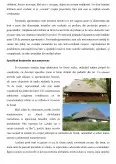Imagine document Turismul - factor de dezvoltare rurală în Maramureș
