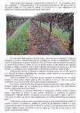 Imagine document Tescovina Compostată Utilizată Drept Fertilizant