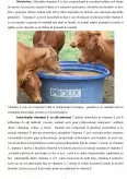 Imagine document Hipovitaminoza E și seleniu la bovine