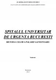 Imagine document Spitalul Universitar de Urgență București - metoda celor 6 pălării gânditoare