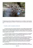 Imagine document Poluarea în Delta Dunării