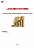 Imagine document Strategii pe Piețele Instrumentelor Financiare Derivate
