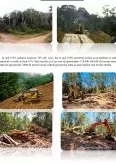 Imagine document Structura fondului forestier în Laos