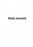 Imagine document Rețele Neuronale