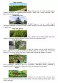 Imagine document Conceptul de reabilitare ecologică și importanța acestuia în cadrul spațiilor plantate urbane din orașul București