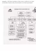 Imagine document Organizarea și Funcționarea Casei de Asigurări de Sănătate