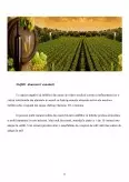 Imagine document Utilizarea sulfiților la producerea vinurilor albe