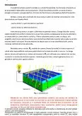 Imagine document Optimizarea Constructala a Structurilor Fotovoltaice