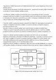 Imagine document Principiile și funcțiile managementului calității