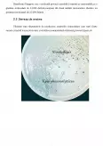 Imagine document Microbiologie generală - vibrio parahaemolyticus