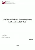 Imagine document Fundamentarea prețurilor produselor la SC Boromir Prod SA Buzău